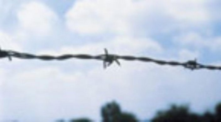 Bodeča žica ZN 250 m, cca 1,7 mm