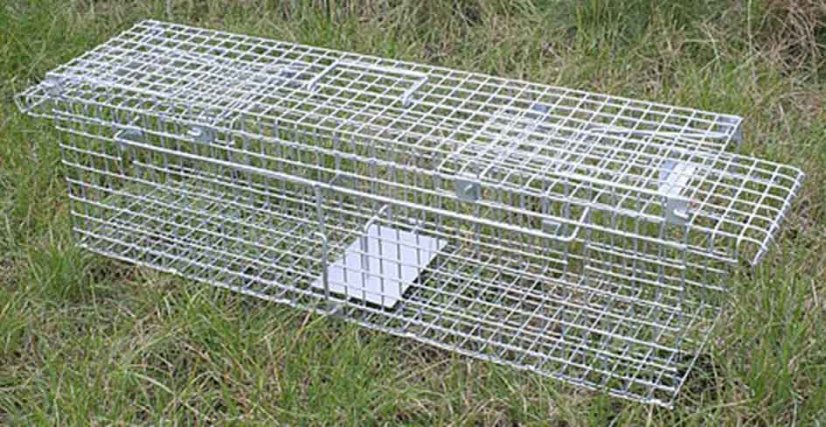 Past za kune, podgane in kune, 65x17x20cm, dvojni vhod, XL-TOOLS
