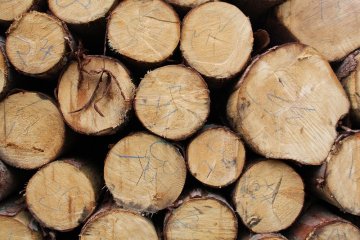 Ako správne skladovať drevo