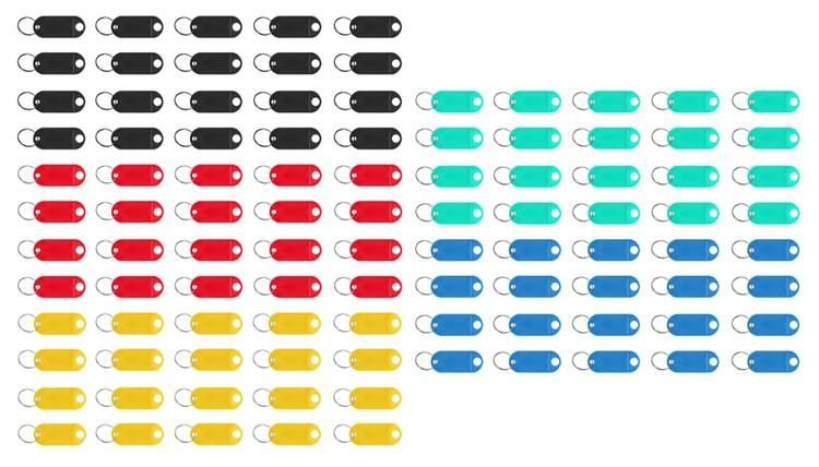 Schlüsselanhänger-/Identifikationsschlüssel-Set 100-tlg.