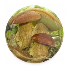 Czapka TO 82 GRZYBY 0,7 l/opak. 10 sztuk