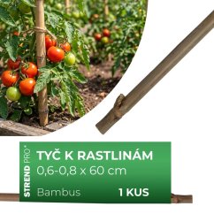 Tyč Garden KBT 600/6-8 mm, bal. 10 ks, bambus, oporná k rastlinám
