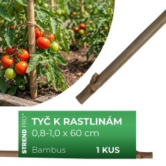 Tyč Garden KBT 600/8-10 mm, bal. 10 ks, bambus, oporná k rastlinám