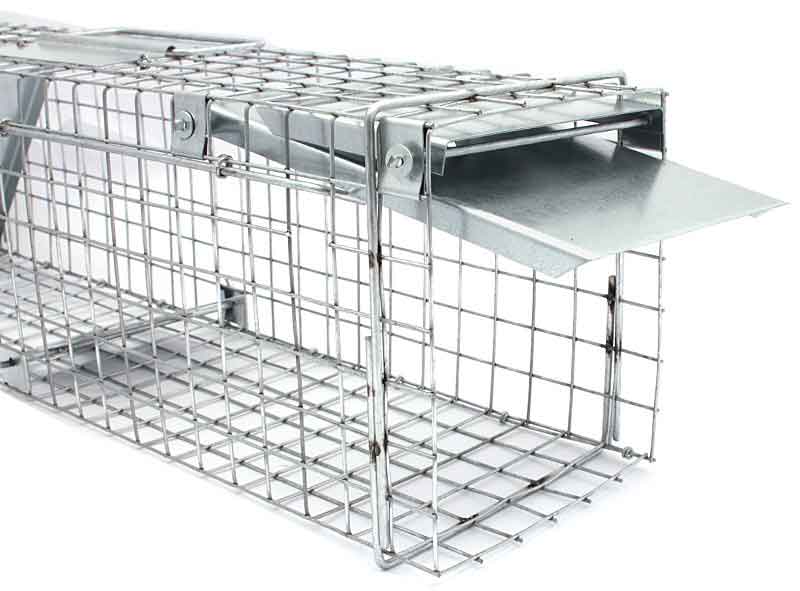 Past za kune, podgane in kune, 65x17x20cm, dvojni vhod, XL-TOOLS