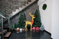 MagicHome Weihnachtsdekoration, Hirsch, Rentier, 150 LED warmweiß, IP44, außen, 70x28x150 cm