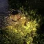 Solárna záhradná lampa - konev Gardlov 23846 (akce)