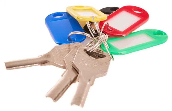 Ovaler farbiger Schlüsselanhänger, 20er-Pack, GEKO