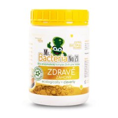 Aktivator Mr.Bacteria br. 21, hranjiva tvar za zdrave cvjetne gredice, 500 g