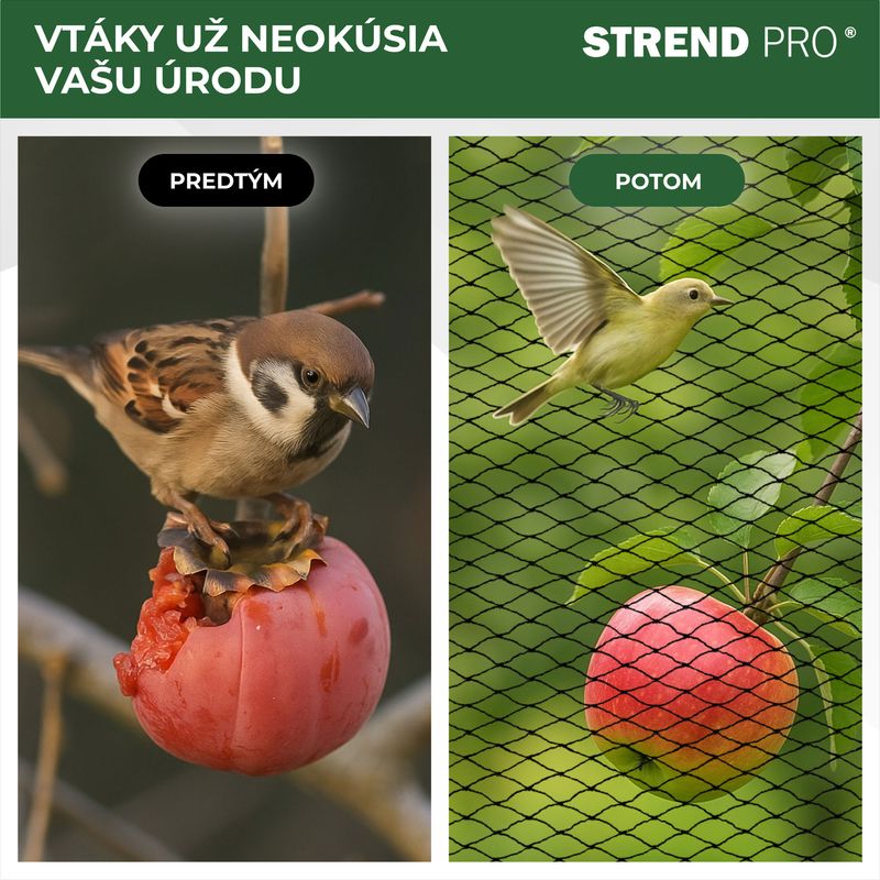 Netz A1205 08x08 m, Maschenweite 25 mm, gegen Vögel, PE (akce)