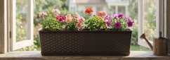 Blumentopf RATOLLA Case P 700, braun, mit Matte (akce)
