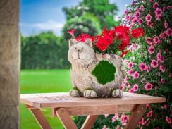 MagicHome dekoracija, Mačka s lončanicom, keramika, prirodna, 30x25,5x26,5 cm