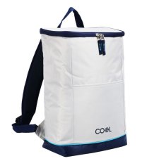Rucsac termic 25 l, gri