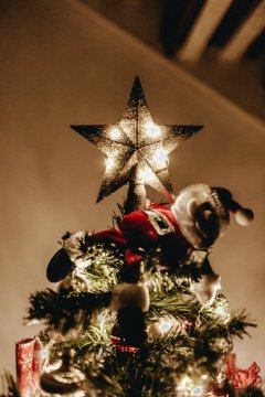 Gwiazda Bożego Narodzenia