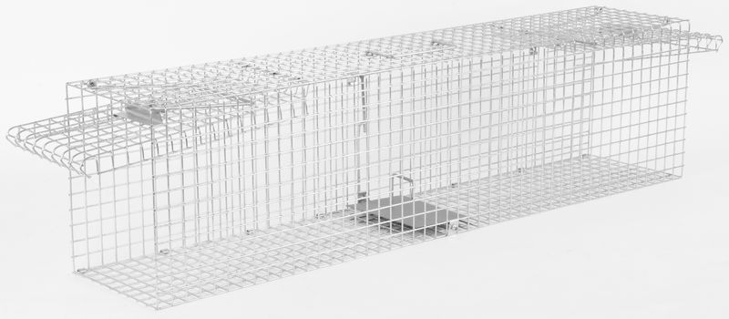 Wiretrap50, für Nagetiere, 50x14x14 cm