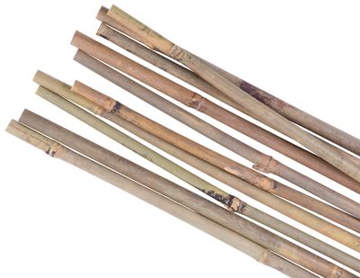 Tyč Garden KBT 2100/12-14 mm, bal. 10 ks, bambus, opěrná k rostlinám