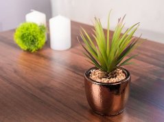 Succulent MagicHome S34041, 19 cm, lončni cement, zlato