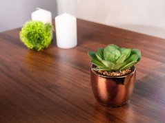 Succulent MagicHome S34042, 15 cm, lončni cement, zlato