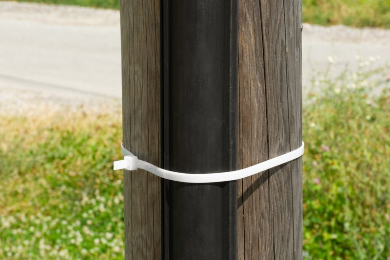 Abziehband Strend Pro CT66BW, 800x9 mm, 50 Stück, weiß, Nylon, Bindung