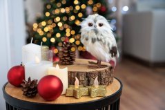 MagicHome Weihnachtseule, creme mit Punkten, 7x9x15,5 cm