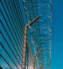 Drut kolczasty PVC 2 mmx100 m