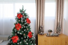 Flower MagicHome Weihnachten, Weihnachtsstern, rot, Stiel, Blütengröße: 35 cm