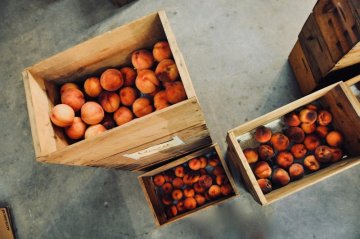 Skladovanie úrody