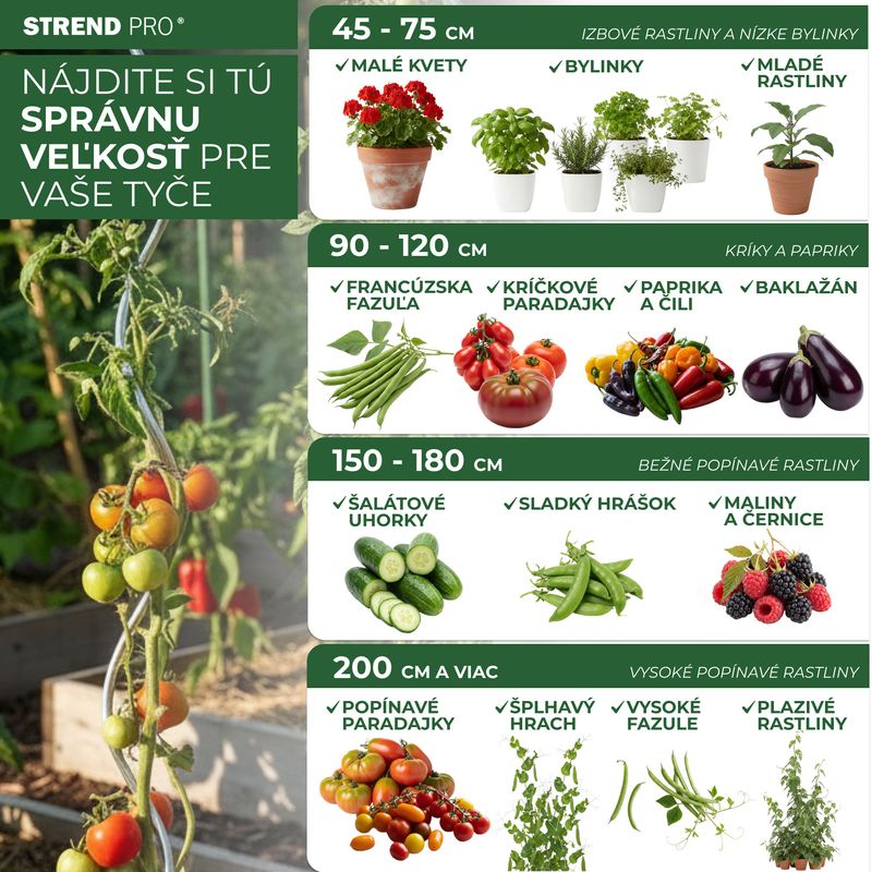 Tyč Garden KBT 1800/16-18 mm, bal. 10 ks, bambus, oporná k rastlinám