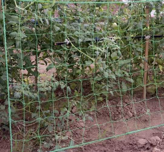 Siatka podporowa do roślin 2x20m Gardlov 23980 (akce)