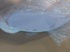 Stół barowy z regulacją wysokości, biały, średnica 60 cm, BRANY 2 NOWOŚĆ - WYPRZEDAŻ - Uszkodzenie