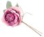 MagicHome Blume, offene Rose, dunkelrosa, Stiel, Blütengröße: 11 cm, Blütenlänge: 22 cm, Packung. 6 Stk