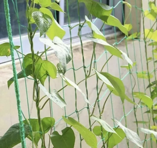 Sieť na podporu rastlín 2x20m Gardlov 23980