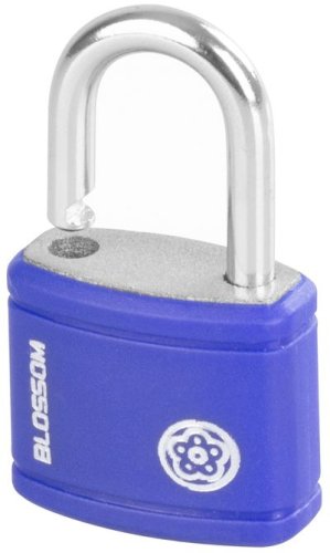 Lock Blossom LB0325, 25 mm, függő, antirust