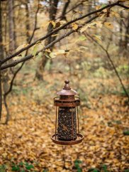 Futterspender Strend Pro, für Vögel, 32x17cm, 950 ml, Kunststoff, Metallgitter