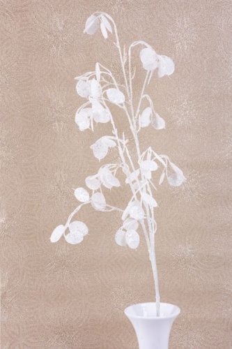 MagicHome karácsonyi gally, MoneyPlant.Fehér, fehér, 56x107 cm