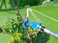 Nożyce AQUACRAFT® 320070, ogrodowe, do gałęzi, z piłą, teleskopowe