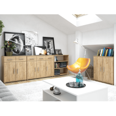 Commodity, Dub Artisan, RESITA TYP 2