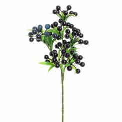 Črna jagoda bodeča veja ornament