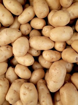 Uskladnenie zemiakov na zimu