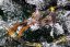 Vogelkäfig mit MagicHome-Clip, braun, Paar, 15x5x5 cm