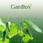 Sieť na podporu rastlín 2x20m Gardlov 23980