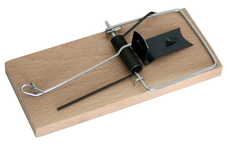 Falle P04331, für Mäuse, Holz