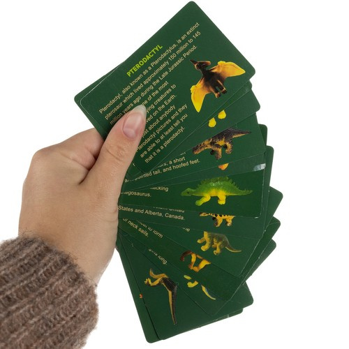 Jaja dinosaura - iskopine 24981 (akce)