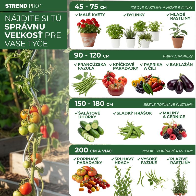 Tyč Garden KBT 600/6-8 mm, bal. 10 ks, bambus, oporná k rastlinám