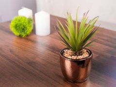 Zamatos MagicHome S34041, 19 cm, edénycement, arany