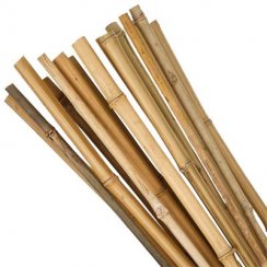 Tyč Garden KBT 750/8-10 mm, bal. 10 ks, bambus, opěrná k rostlinám