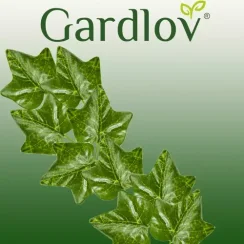 Mesterséges borostyán - koszorú 6,3 m Gardlov 19732