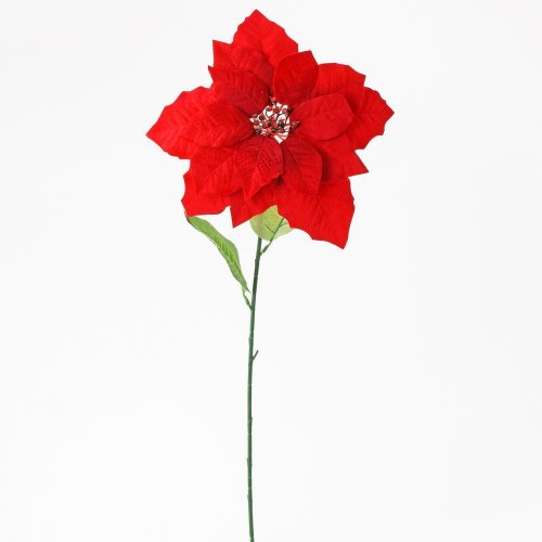 Dekoracja kwiatowa z różą bożonarodzeniową w kolorze czerwonym