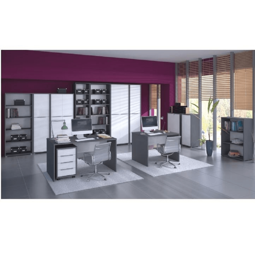PC-Tisch, Graphit/Weiß, RIOMA NEW TYPE 12 (akce)