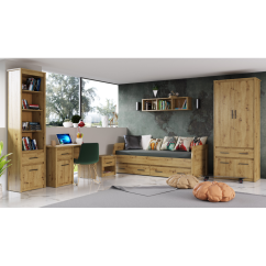 PC Store 1D1S/120, Craftsman Dub, AIRON