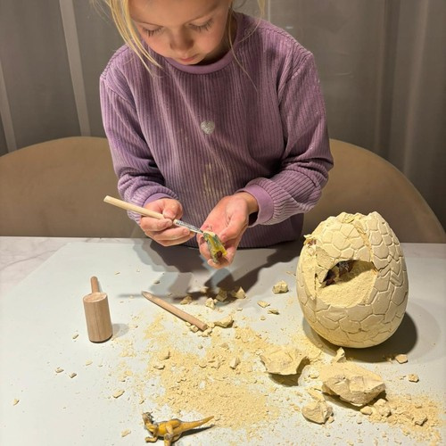 Jaja dinosaura - iskopine 24981 (akce)